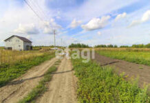 Самовольно занятую горожанами муниципальную землю мэрия хочет отдать им в аренду