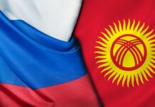 В текущем году торговый оборот сельхозпродукции Кыргызстана и России составил $313 млн