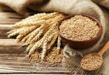 Фонд госматрезервов закупил 20,1 тыс. тонн пшеницы