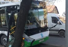 В Бишкеке автобус врезался в дерево, пострадали 5 пассажиров — фото с места ЧП