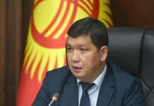 В мэрии предлагают горожанам выносить мусор в определенные часы