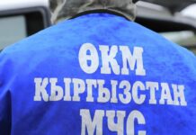 Сотрудники МЧС взломали дверь и спасли маленьких детей в городе Ош