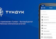 Граждане КР могут перерегистрировать свой автомобиль онлайн через приложение «Түндүк»