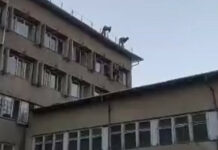 В школе №5 Бишкека 35-летний мужчина пытался совершить суицид