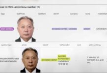 Альянс расследователей Беларуси рассказал, как Курманбеку Бакиеву создали вторую личность