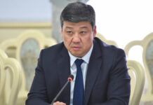 Министрлер кабинетинде өлкөнүн фармацевтикалык өнөр жай тармагын өнүктүрүү маселелери талкууланды