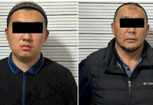 Токтогул шаарынын мэри жана анын уулу кармалды