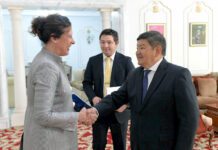 Акылбек Жапаров БУУнун өкүлү менен Бишкектеги абанын булганышы маселесин талкуулады