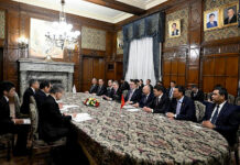 Садыр Жапаров провел переговоры со спикером палаты представителей парламента Японии Фукусиро Нукага