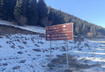 В Нарынской области появились новые дорожные туристические знаки