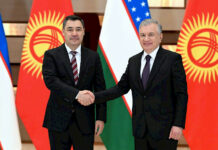 Садыр Жапаров провел переговоры с Шавкатом Мирзиёевым