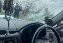 В Беловодском насмерть сбили пешехода, водитель скрылся