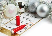 Кыргызстанцев, возможно, ожидают новогодние каникулы с 1 по 7 января