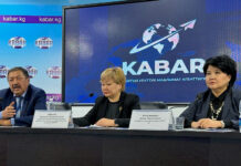 В Кыргызстане 52% населения умирают от сердечно-сосудистых заболеваний, половина из них – от инсульта