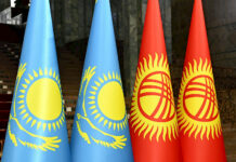 Адам өмүрүн алган хостелдеги өрт. Шакиев казакстандык кесиптештерине көңүл айтты