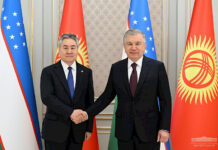 В Ташкенте состоялась встреча главы МИД Кыргызстана и президента Узбекистана