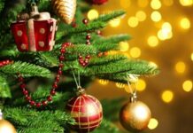 В Бишкеке пройдет Президентская елка