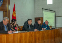 В КР проведена информкампания по снижению выброса углекислого газа за счет развития лесов и пастбищ