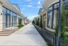 Обманули на $14 миллионов. Задержаны бизнесмены, связанные с Камчи Кольбаевым