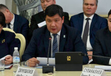 Бишкек мэриясы пилоттук атмосфералык абаны коргоо жаатында ыйгарым укуктарды ишке ашыра баштайт