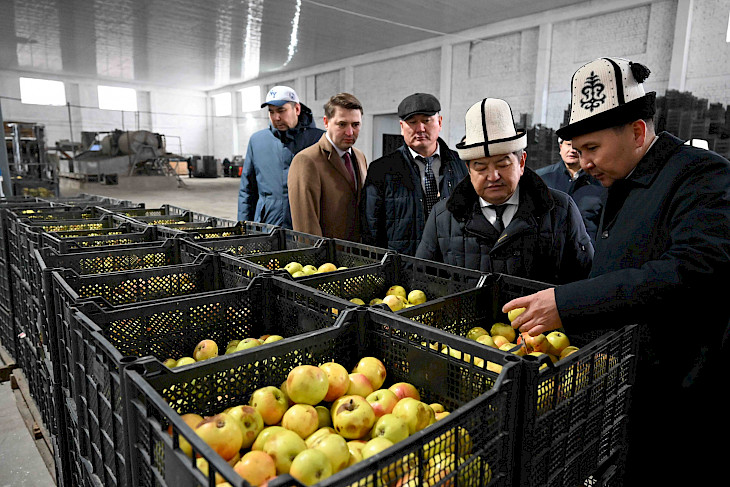 657184a7b710f В Чуйской области впервые открыли завод по заморозке фруктов и овощей 
