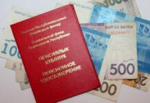 Депутат ЖК предложила выдавать 13-ю пенсию пенсионерам на день рождения