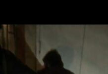 В городе Токмок задержан гражданин, пытавшийся совершить крашу