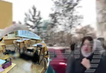 В Брянске девочка устроила стрельбу в школе, после чего покончила с собой