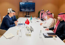 В Кыргызстане и Саудовской Аравии могут пройти взаимные дни культуры