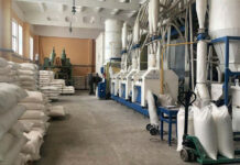 В Кара-Балте построят современную мельницу и макаронный завод