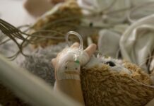 ДТП в Балыкчи. Отец пострадавшей отказался от претензий и отозвал заявление