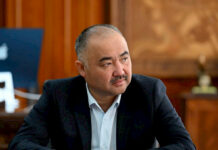 Нурланбек Шакиев зилзалага байланыштуу япониялык кесиптештерине көңүл айтты