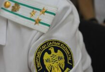 В Кыргызстане по итогам 2023 года были уволены 258 налоговиков