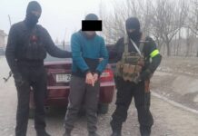 Кыргызстанец пытался незаконно провезти 11,7 миллиона рублей и $110 тысяч