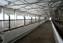 Государственный племенной завод в Сокулуке планируют модернизировать