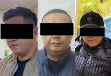 В Новопокровке выявили раздачу сельхозземель под частные дома. Задержан глава айыл окмоту