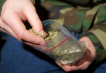 2023-жылы Кыргызстанда мыйзамсыз жүгүртүүдөн 6,6 тоннадан ашык баңгизат алынган