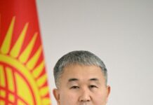 Насипбек Керимов назначен замминистра энергетики КР