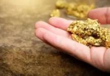 Временный запрет на экспорт золотосодержащего концентрата отложили до 1 июля