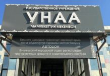 Незаконную легализацию более 1 тысячи автомашин выявили в Кыргызстане