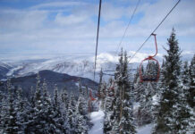 У ОПГ Камчы Кольбаева нашли 2 га земли около базы «Каракол»