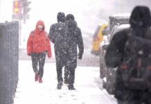 В связи с резким похолоданием школы перейдут на сокращенный день