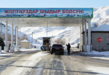 На постах «Сосновка» и «Арал» временно ограничили проезд большегрузов