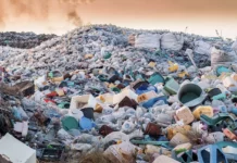 Почему на свалке Бишкека так и не начали строить мусоросжигательный завод? Ответ мэрии