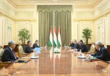 Душанбеде КР ТИМ башчысы менен Тажикстан президентинин жолугушуусу өттү