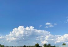 Прокуратура выявила нарушения со стороны работников мэрии Оша