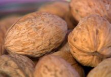 Кыргызстан экспортирует 400 тонн грецкого ореха в Турцию. Подписан контракт