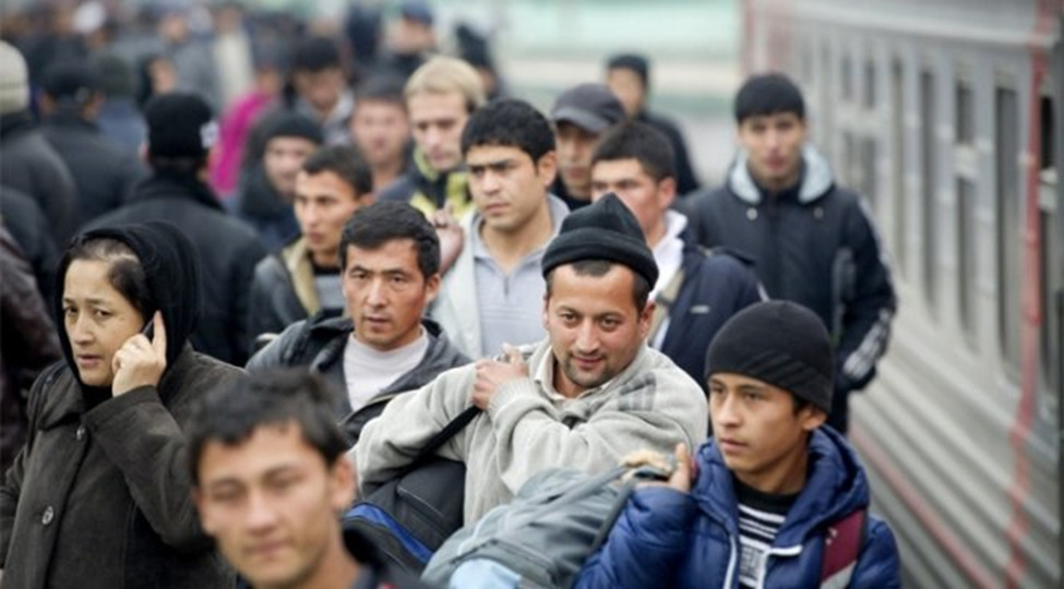image 1 В Оше более 16 лет защищают права кыргызских мигрантов. Теперь их работа под угрозой из-за закона об НКО