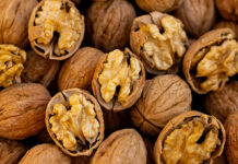 Кыргызстан Түркияга 400 тонна жаңгак экспорттойт