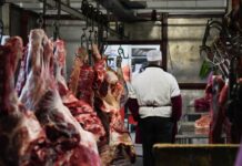 На Ошском рынке продают мертвечину. Депутат просит Минсельхоз отреагировать